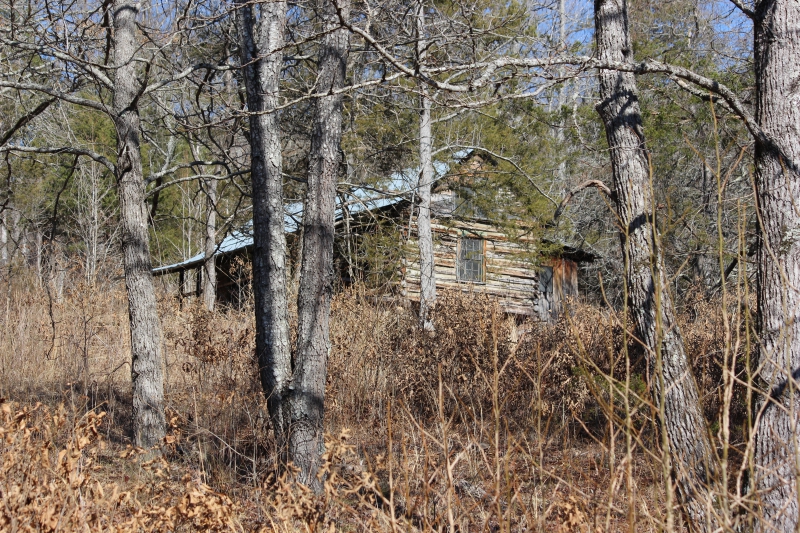 Old Villines Homestead Near Ponca AR