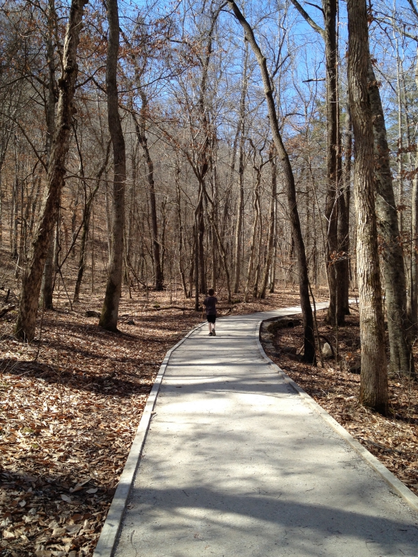 Lost Valley Trail Ponca AR