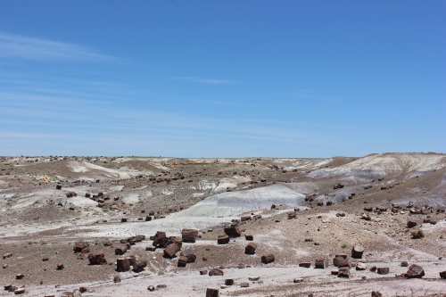 A view of the Petrified Forest