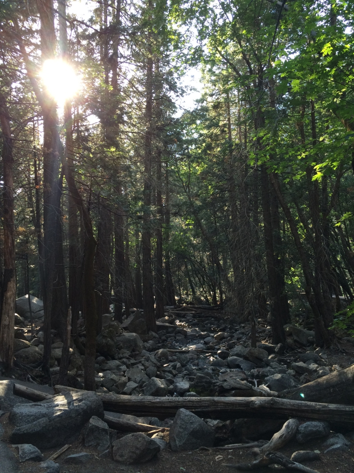 Yosemite Trail