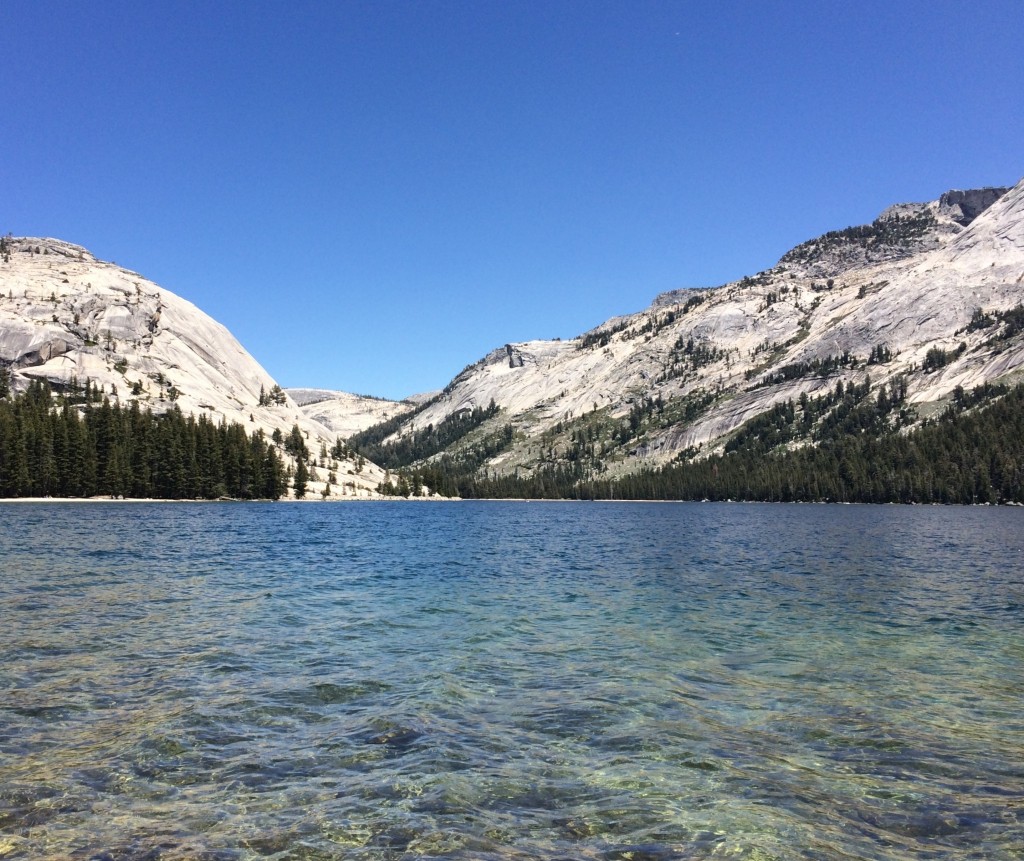 Tuolumne Meadows YosemiteIMG_3522