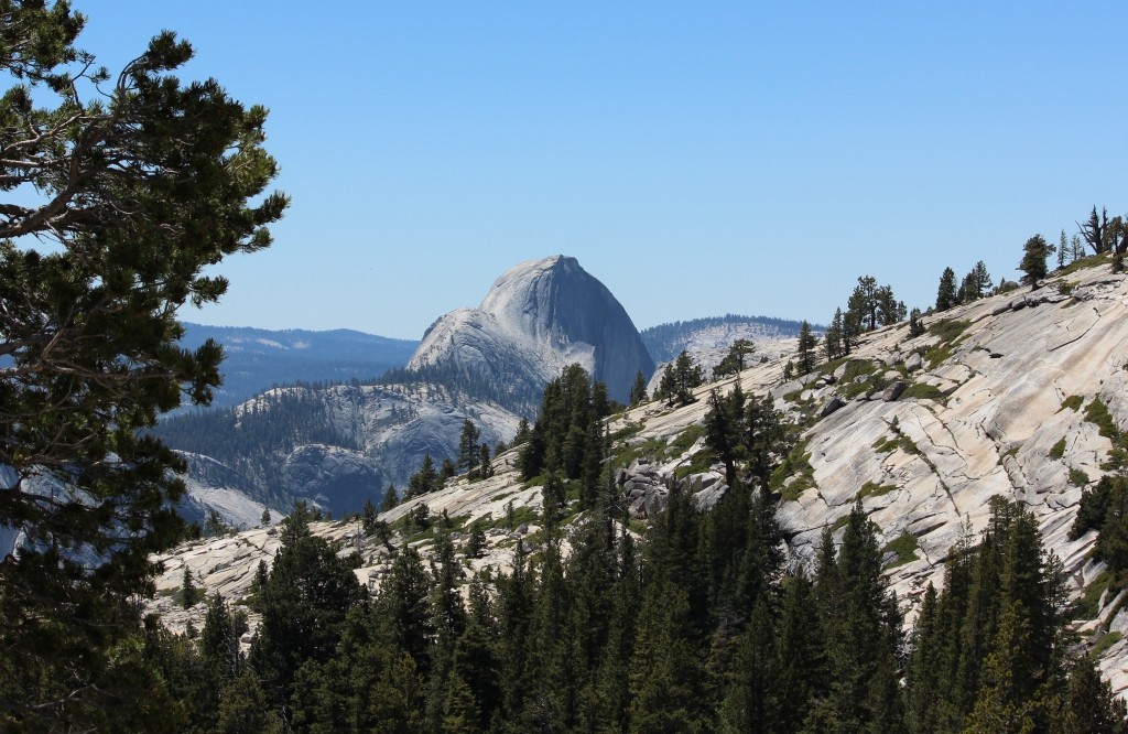 Half Dome Olmsted Point Yosemite