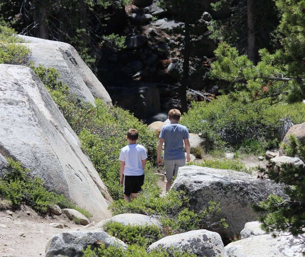 Tuolumne Meadows YosemiteIMG_8603