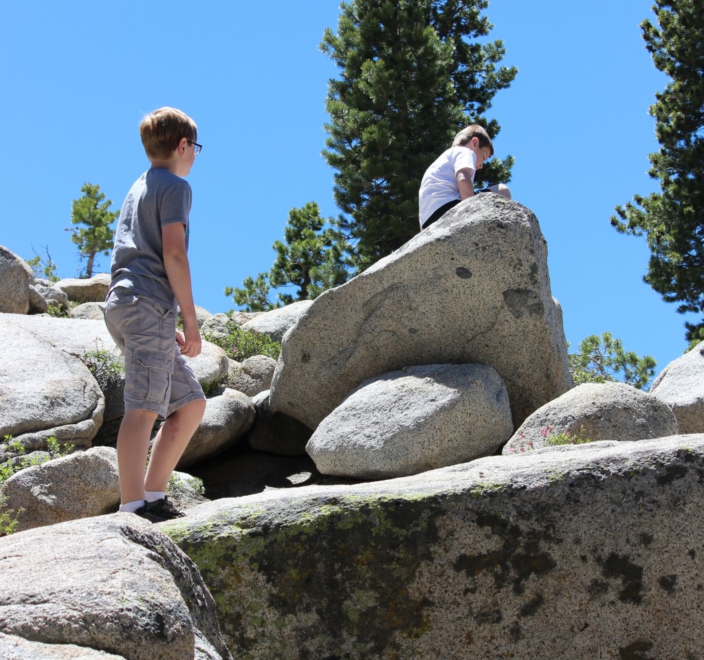 Tuolumne Meadows YosemiteIMG_8610