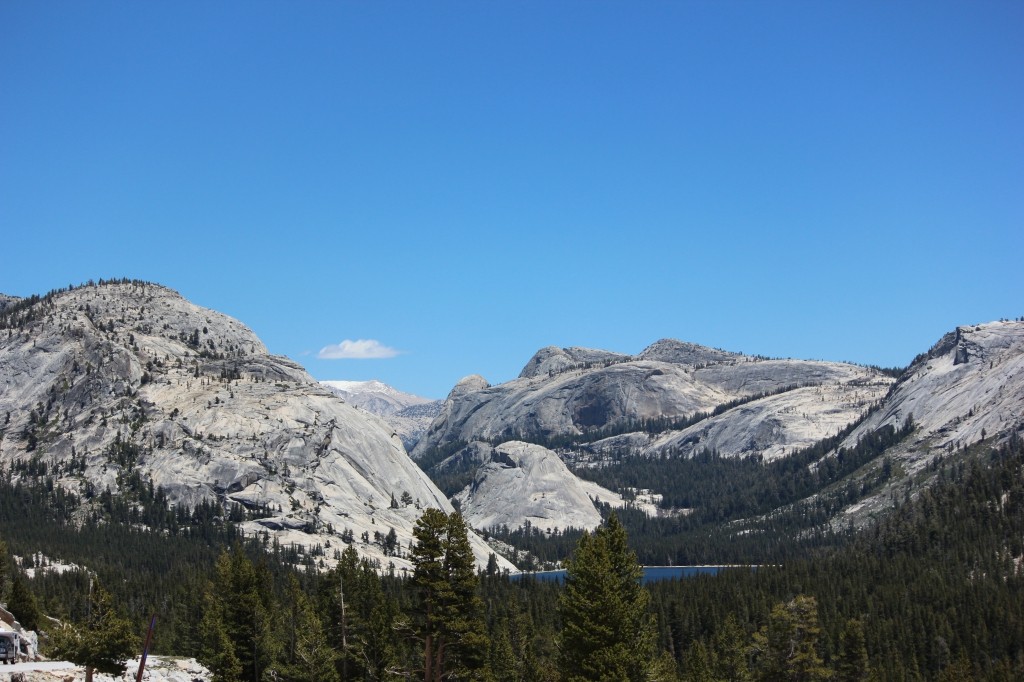 Tuolumne Meadows YosemiteIMG_8637