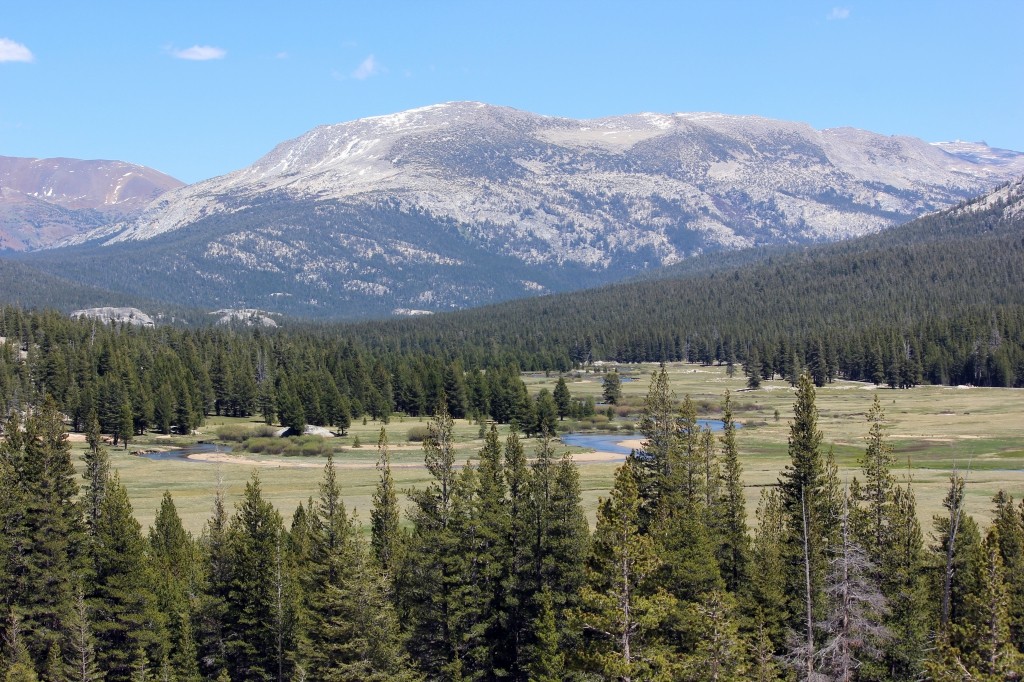 Tuolumne Meadows YosemiteIMG_8695