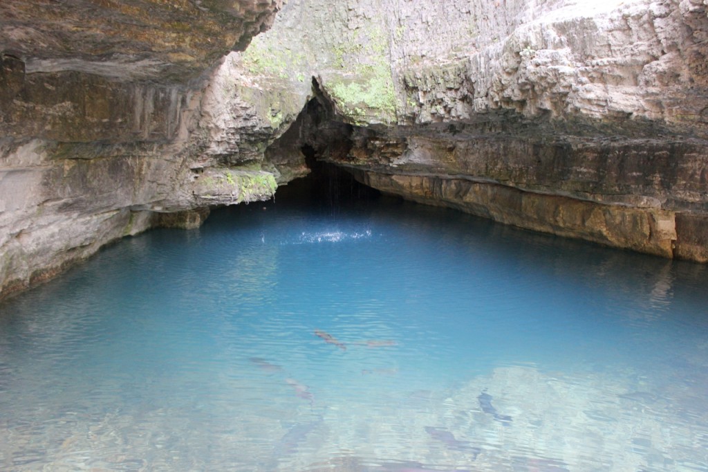 Missouri’s Roaring River State Park | Travels with Birdy