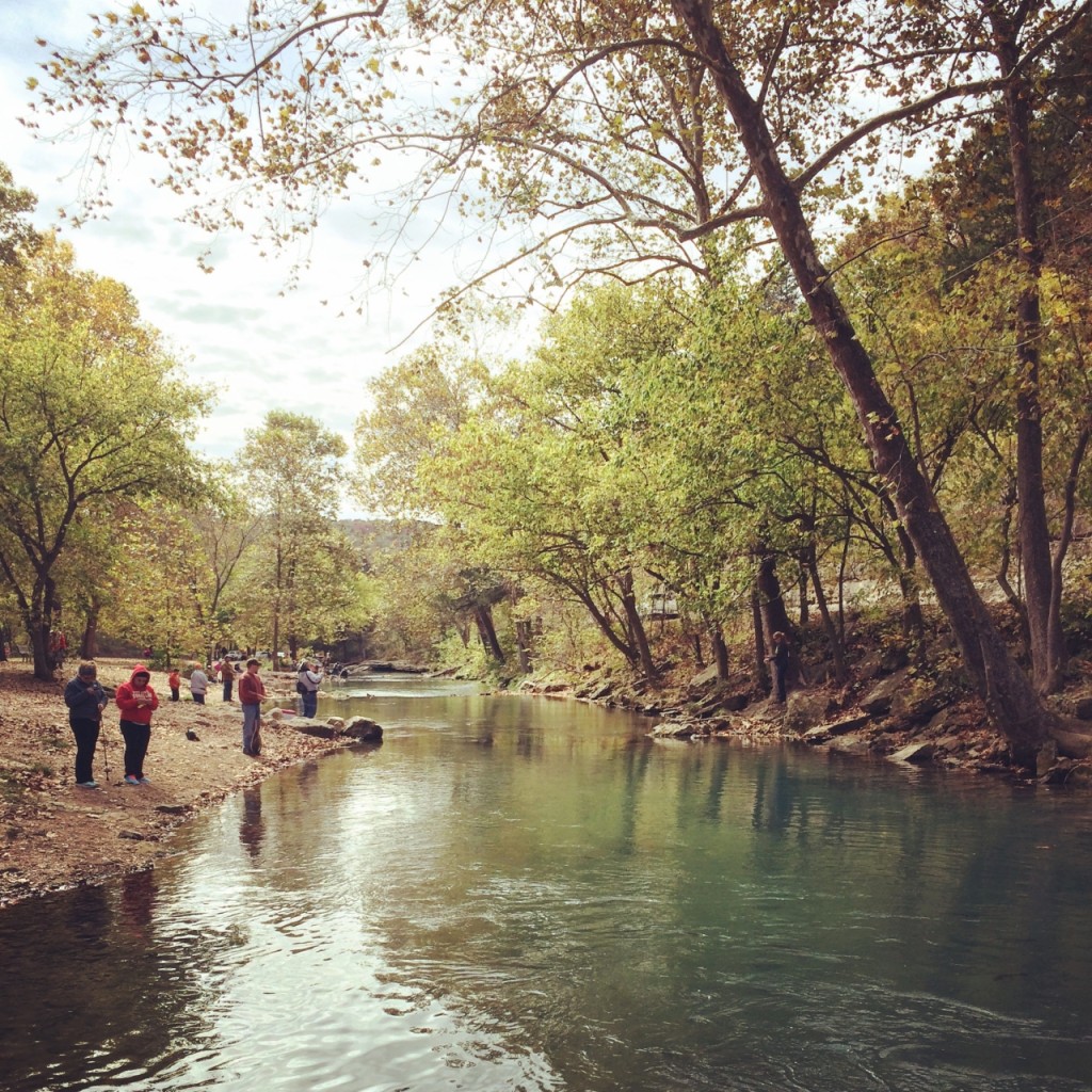 Missouri’s Roaring River State Park | Travels with Birdy