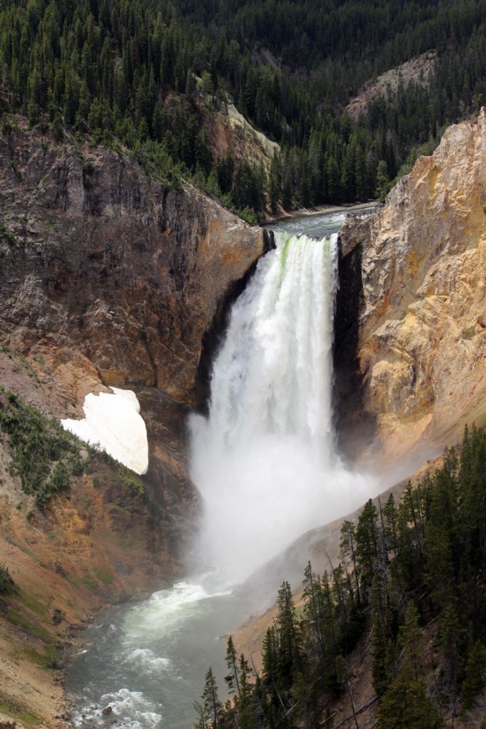 Yellowstone Part III: North Loop Highlights | Travels with Birdy