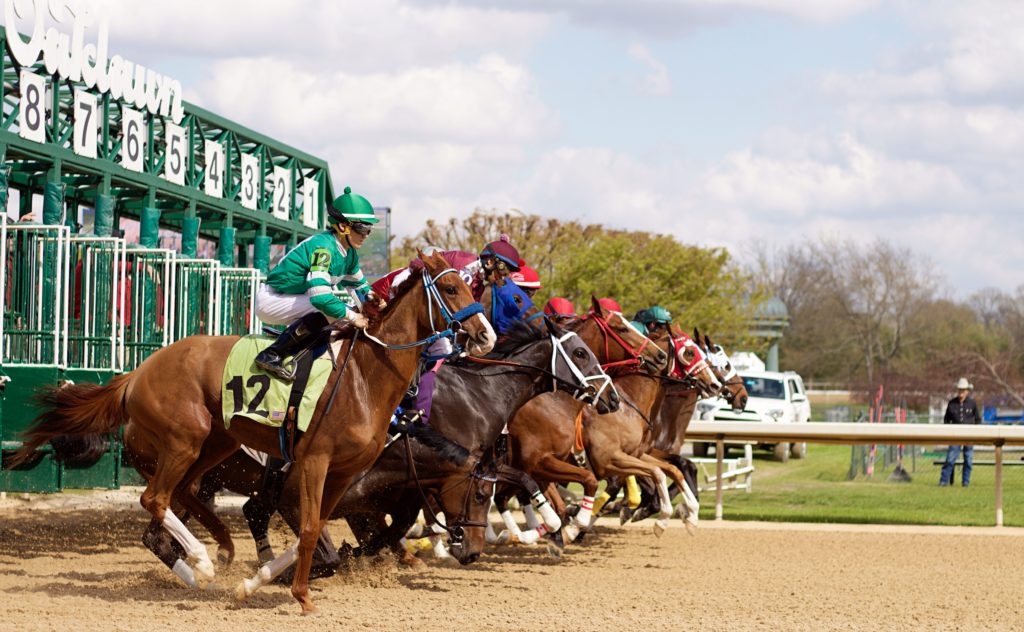 Thoroughbred racing horses take off at Oaklawn Park in Hot Springs, AR