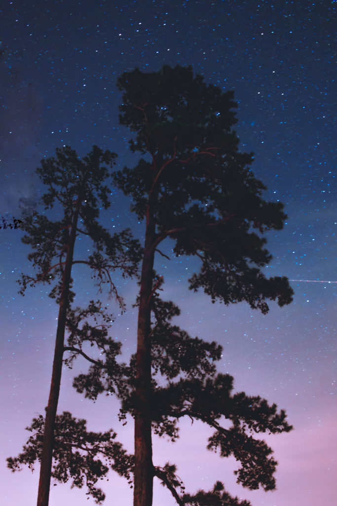 The night sky over Lake Ouachita at Lake Ouachita State Park in Arkansas